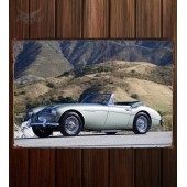 Металлическая табличка Austin Healey 3000 (MkIII) 023